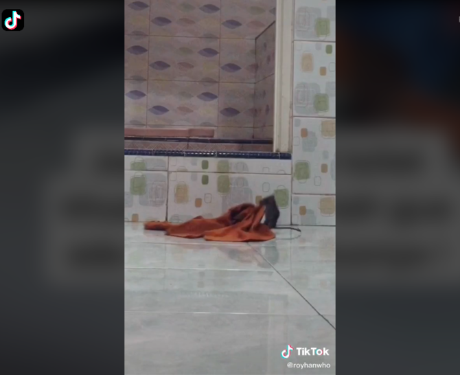 viral keset toilet selalu berantakan