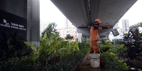 Menengok Pembibitan Tanaman Hias untuk Percantik Ibu Kota