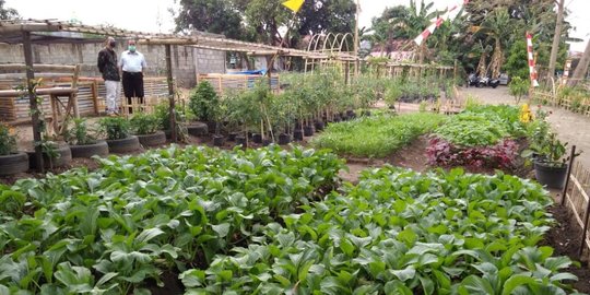 Dulunya Kawasan Kumuh, Desa di Jogja Ini Berhasil Disulap Jadi Kampung Wisata