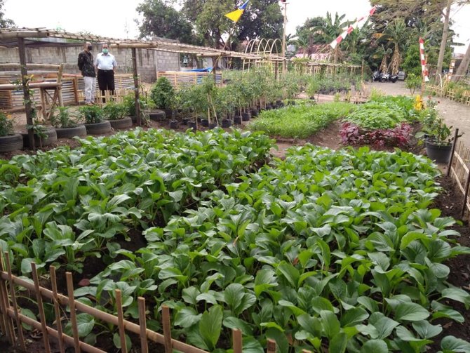 kampung markisa jogja