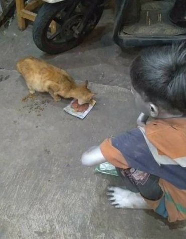 manusia silver ini sisihkan rp7 ribu hasil ngamen buat beli makanan kucing