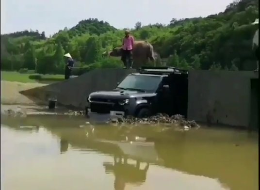 mobil mewah buat nyebrang kerbau