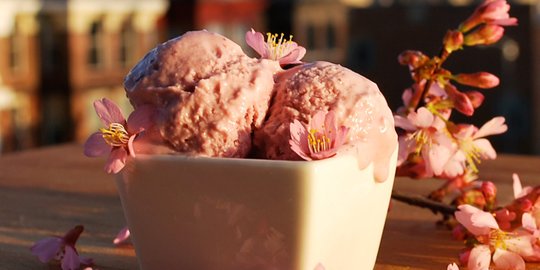 10 Cara Buat Ice Cream Aneka Rasa Enak Dan Praktis Dijamin Bikin Ketagihan Merdeka Com