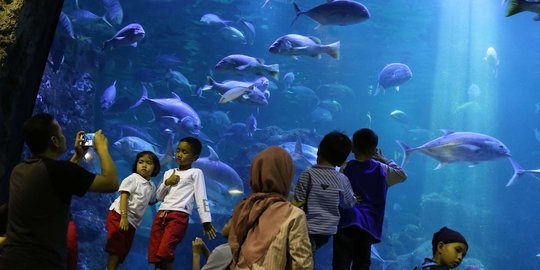 Asyik, Taman Impian Jaya Ancol Hadirkan Edutainment dan Wisata secara Virtual
