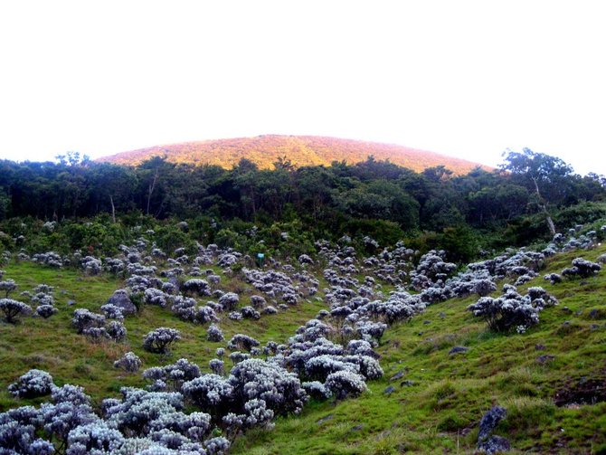 wisata gunung di indonesia