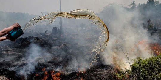 Polisi Sebut Kasus Kebakaran Hutan di Sumsel Berkurang 36 Persen