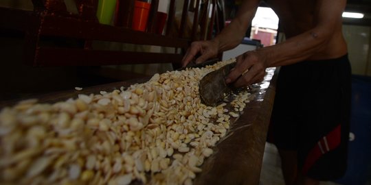 Bahan Baku Tempe Terakhir