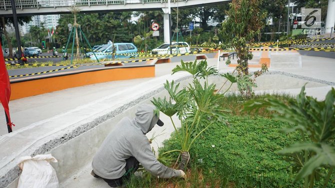 pekerja mencabuti rumput di proyek pembangunan taman dukuh atas di jalan jenderal sudirman jakarta 2019 lalu