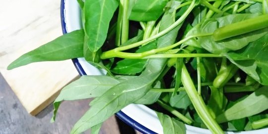 6 Manfaat Sayur Kangkung Bagi Kesehatan Tubuh Mampu Bantu Atasi Anemia Merdeka 