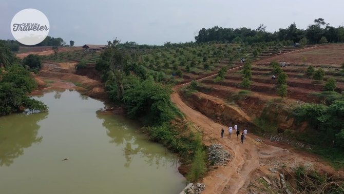 kebun durian milik irjen pol purn anton wahono