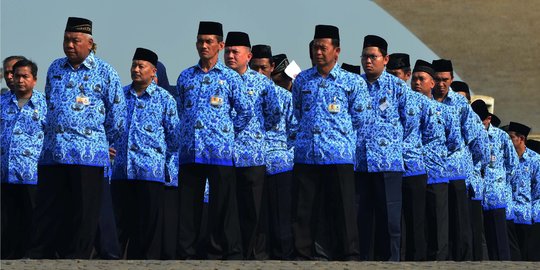 Keistimewaan jadi PPPK, Bisa Jabat Posisi Kepala Tanpa Harus Mulai dari Bawah