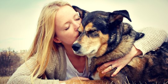 5 Cara Melatih Anjing yang Bisa Dilakukan Agar Dapat Menjinakannya