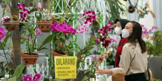 Batu Love Garden Tawarkan Keindahan Ragam Bunga di Lahan Seluas 7 Ha