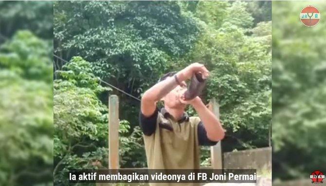 momen pria panggil siamang dengan terompet khusus