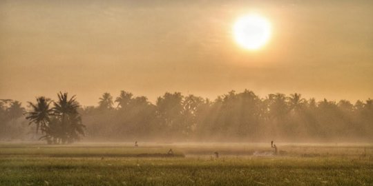 Pengunjung Luar Kota Dilarang ke Tempat Wisata Purbalingga hingga 25 Januari 2021