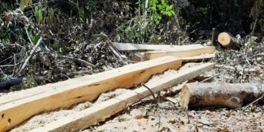 Wakil Ketua DPRD Takalar Jadi Tersangka Perusakan Hutan Konservasi