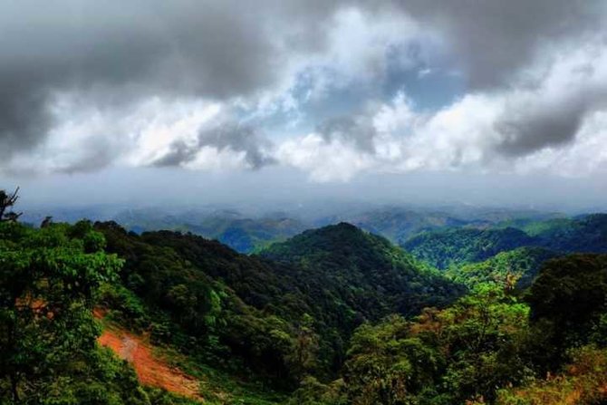 gunung wilis jawa timur