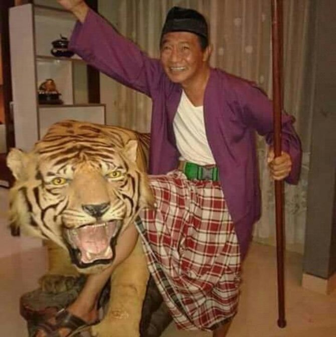 tanno ali