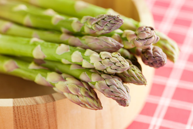 ilustrasi asparagus