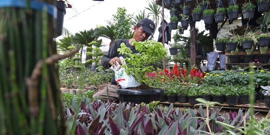 Bisnis Pot Bunga Sabut Kelapa Saat Pandemi Bisa Hasilkan Cuan Jutaan Rupiah per Bulan