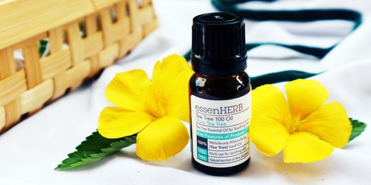 13 Rekomendasi Tea Tree Oil untuk Atasi Masalah Kecantikan & Kesehatan