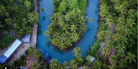 Bentuknya Mirip Ular, Ini Fenomena Unik Sungai di Pacitan yang Jarang Dijumpai