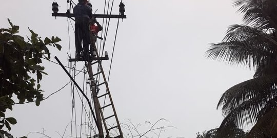 PLN Pulihkan 463 Gardu Distribusi Terdampak Gempa Majene