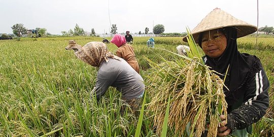 BPS Catat Upah Buruh Turun di Desember 2020