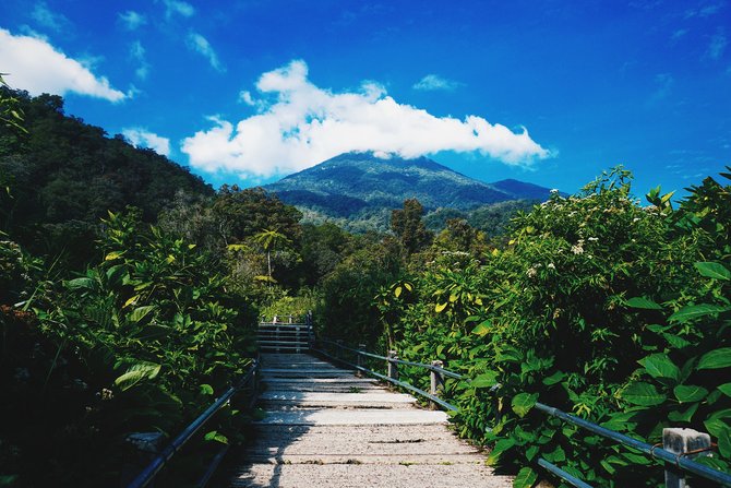 ilustrasi taman nasional gede pangrango