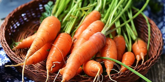 Manfaat wortel dalam masakan dan bagi kesehatan
