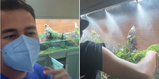 Super Mewah, Raffi Ahmad Punya Aquarium Ada Hujan Buatannya Mirip di Alam Liar