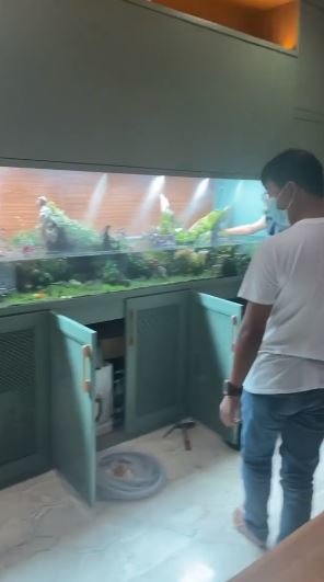 aquarium canggih raffi ahmad