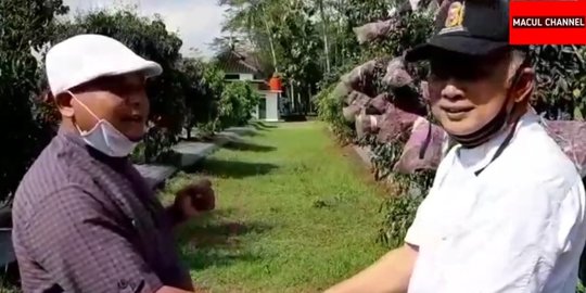Intip Kebun Lengkeng Milik Pensiunan Jenderal TNI, Hasilnya Capai Ratusan Juta