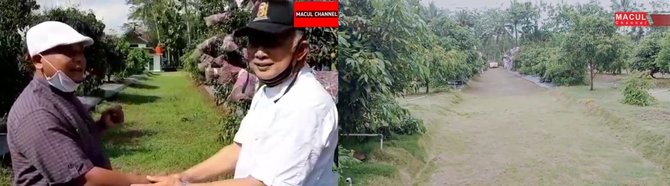 kebun lengkeng milik pensiunan jenderal tni