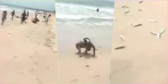 Video Warga Tangkap Ikan Lemuru Terdampar di Pantai Kuta, Begini Penjelasannya