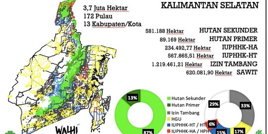 Walhi: Lahan di Kalsel Sisa 29 Persen, 1,82 Juta Dikuasai Tambang dan Kelapa Sawit