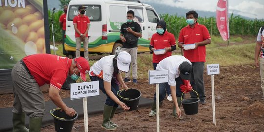 Jalankan Program Agro Solution, Petrokimia Gresik Tanam Perdana Jagung di NTB