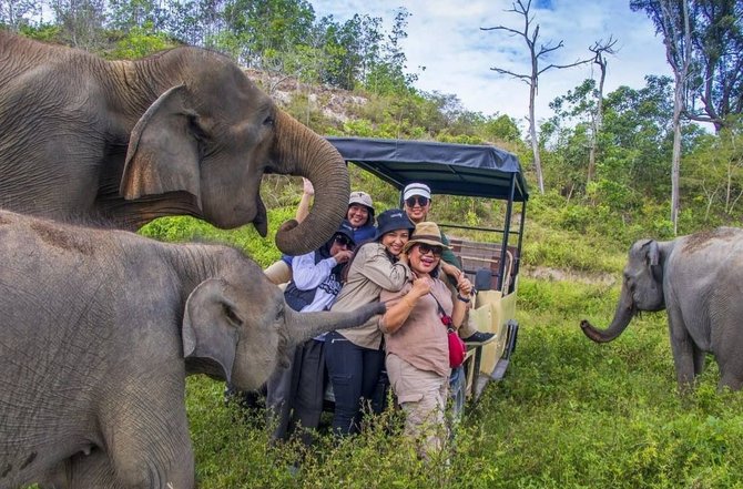 mengunjungi barumun nagari wildlife sanctuary rumah bagi gajah sumatra yang terluka