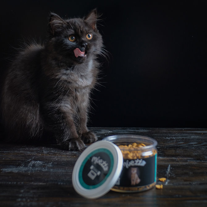 kabur setiap jadwal mandi ini alasan kucing takut pada air