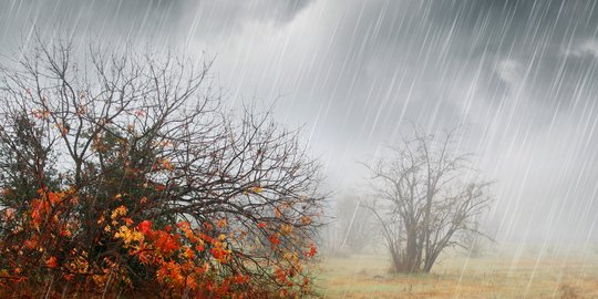 BMKG Prediksi Hujan Lebat Terjadi di Puncak hingga Tiga Hari ke Depan