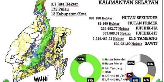 KLHK Jawab Tudingan Hutan di Kalsel Gundul: Sampaikan Data Ada Aturan Mainnya