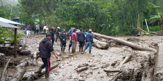 Balok dan Ranting Pohon Jadi Penyebab Banjir Bandang di Puncak, Ini Kata Wabup Bogor