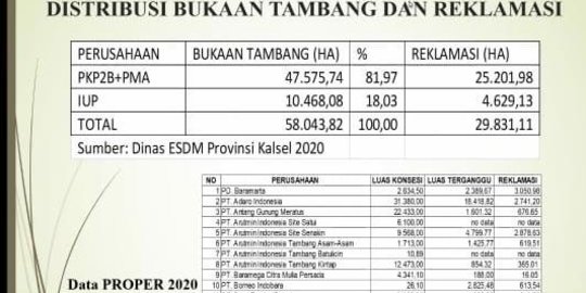 KLHK Ancam Cabut Izin Perusahaan yang Tak Rehabilitasi Lahan Konsesi di Kalsel