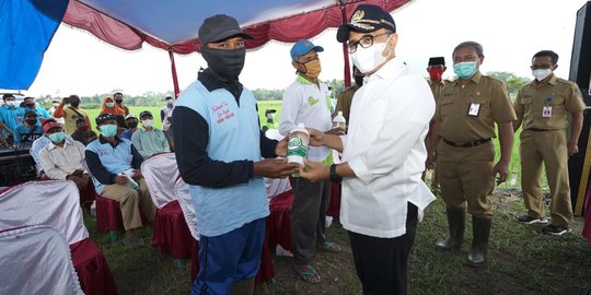 Banyuwangi Bagikan Pupuk Organik Gratis 400 Hektare Per Kecamatan