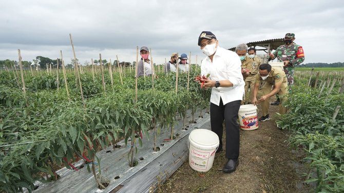 banyuwangi bagikan pupuk organik gratis