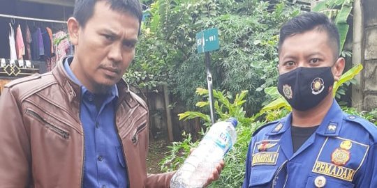 Sisir Rumah Kosong, BPBD Tangerang Temukan 3 Anakan Ular Kobra