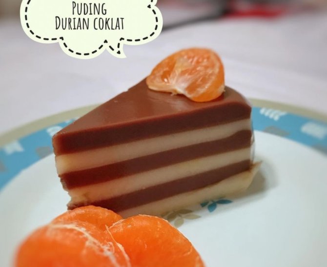resep puding durian