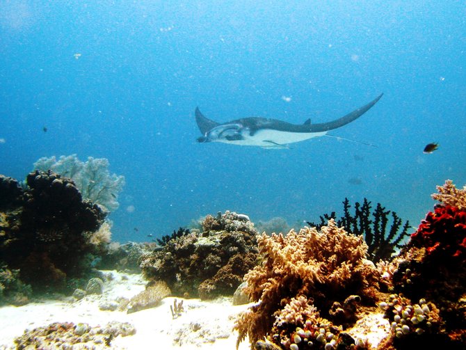 ilustrasi labuan bajo