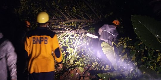 Cuaca Ekstrem Sebabkan Pohon Tumbang dan Rusak Puluhan Rumah di Tasikmalaya