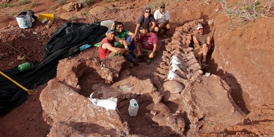 Penemuan Fosil Dinosaurus Raksasa Berusia 98 Juta Tahun